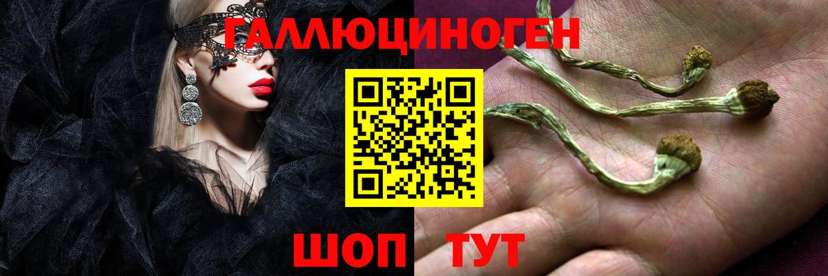 купить  цена  Галлюциногенные грибы Psilocybine cubensis  Тверь  Вход с VPN  Псилоцибиновые грибы GOLDEN TEACHER 