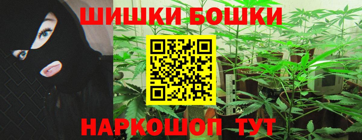 Бошки Шишки конопля Тверь